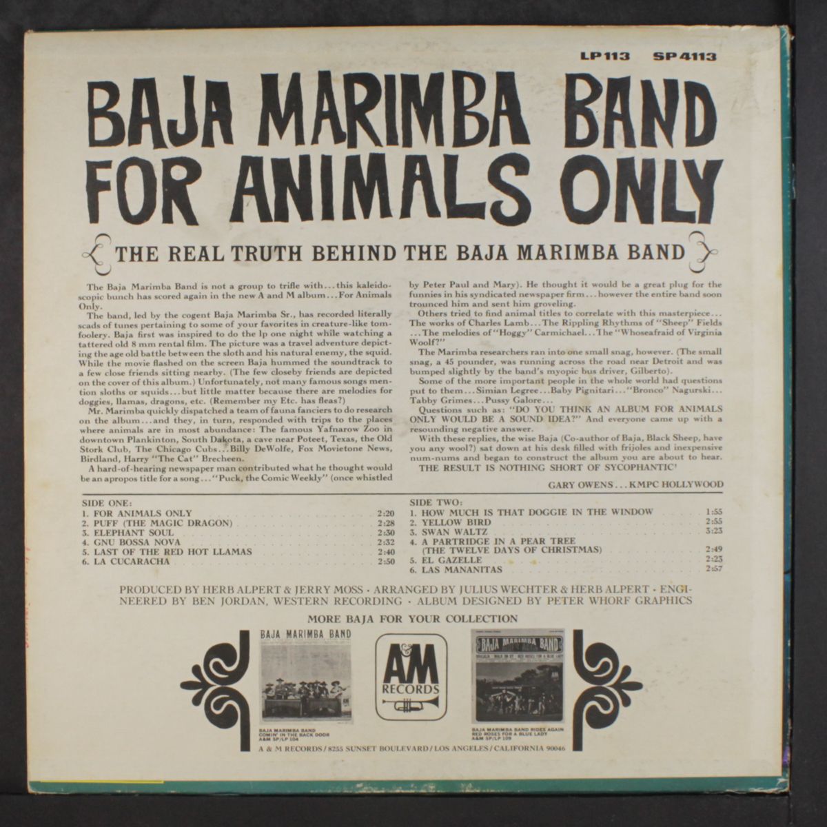 for animals only by BAJA MARIMBA BAND