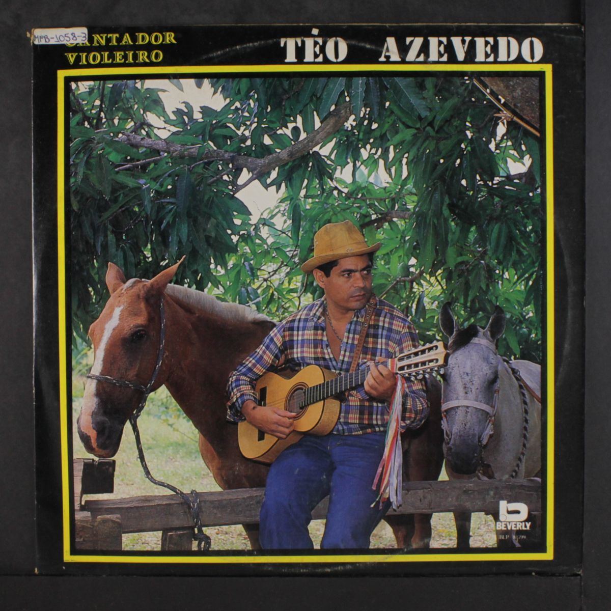 cantador violeiro by TEO AZEVEDO