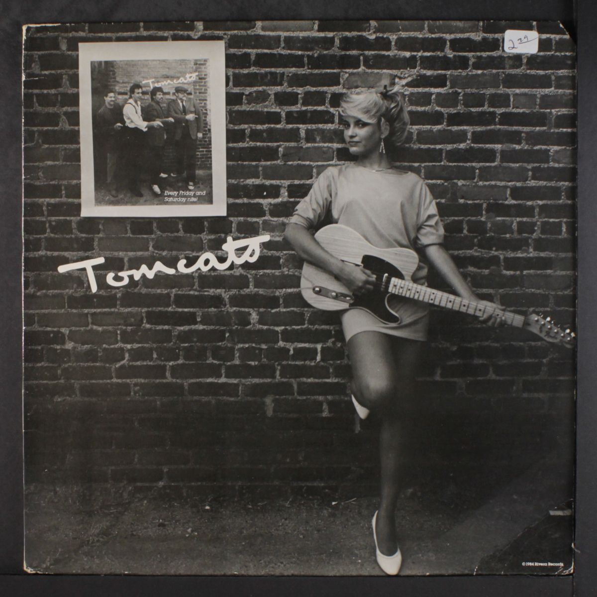 tomcats by TOMCATS