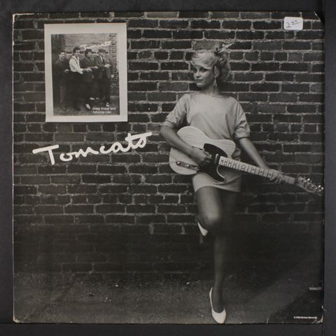 TOMCATS