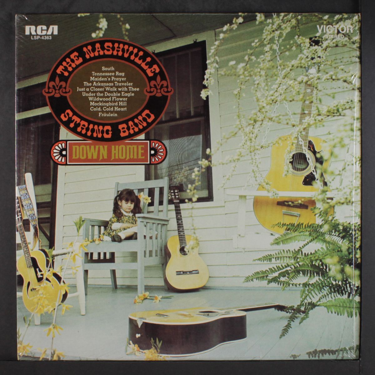 down home by NASHVILLE STRING BAND