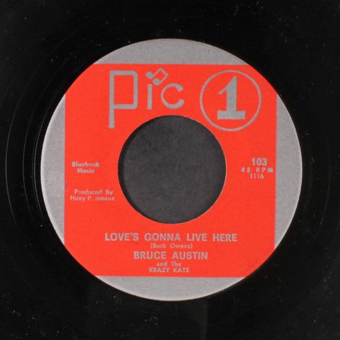 BRUCE AUSTIN