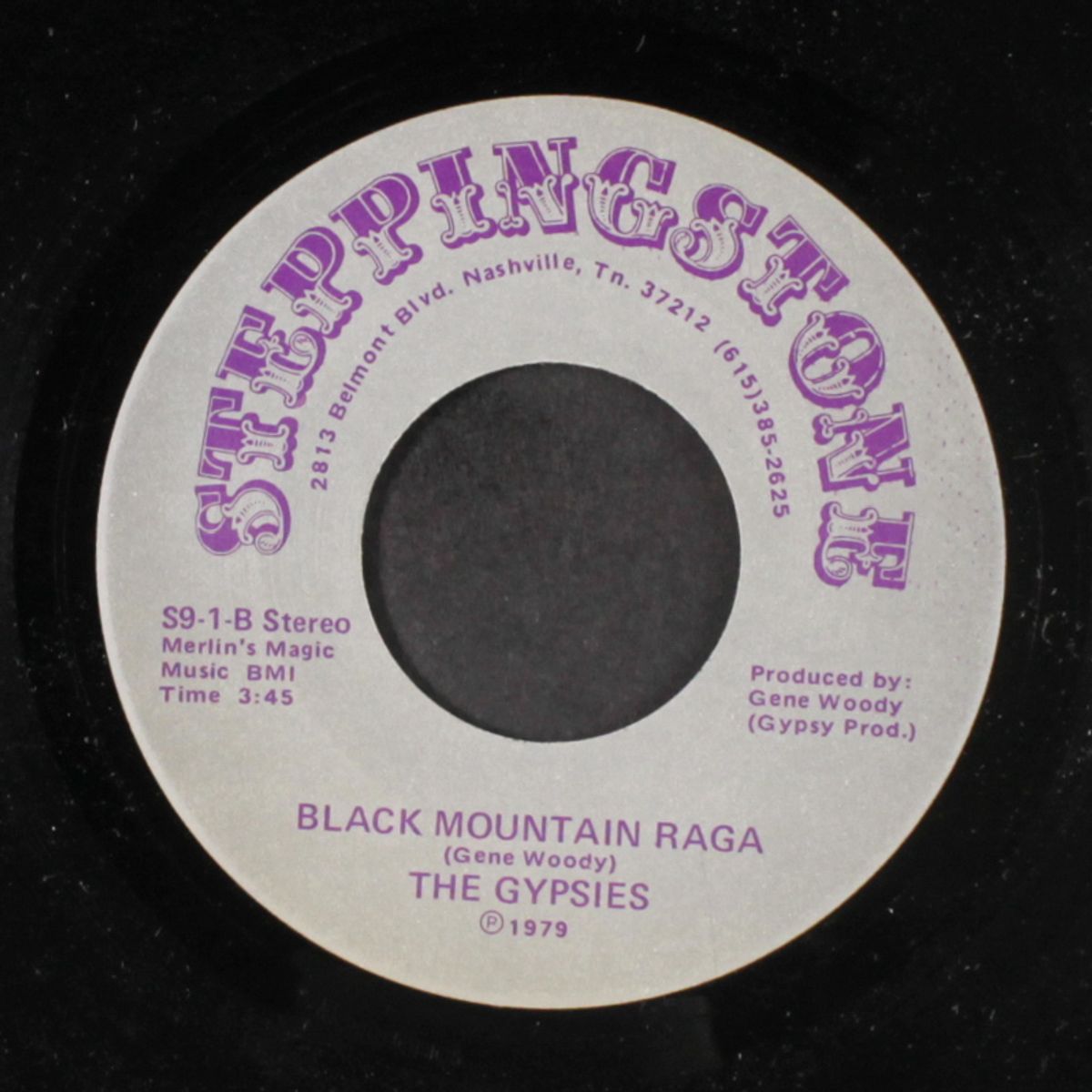 skylab's falling / black mountain raga by GYPSIES