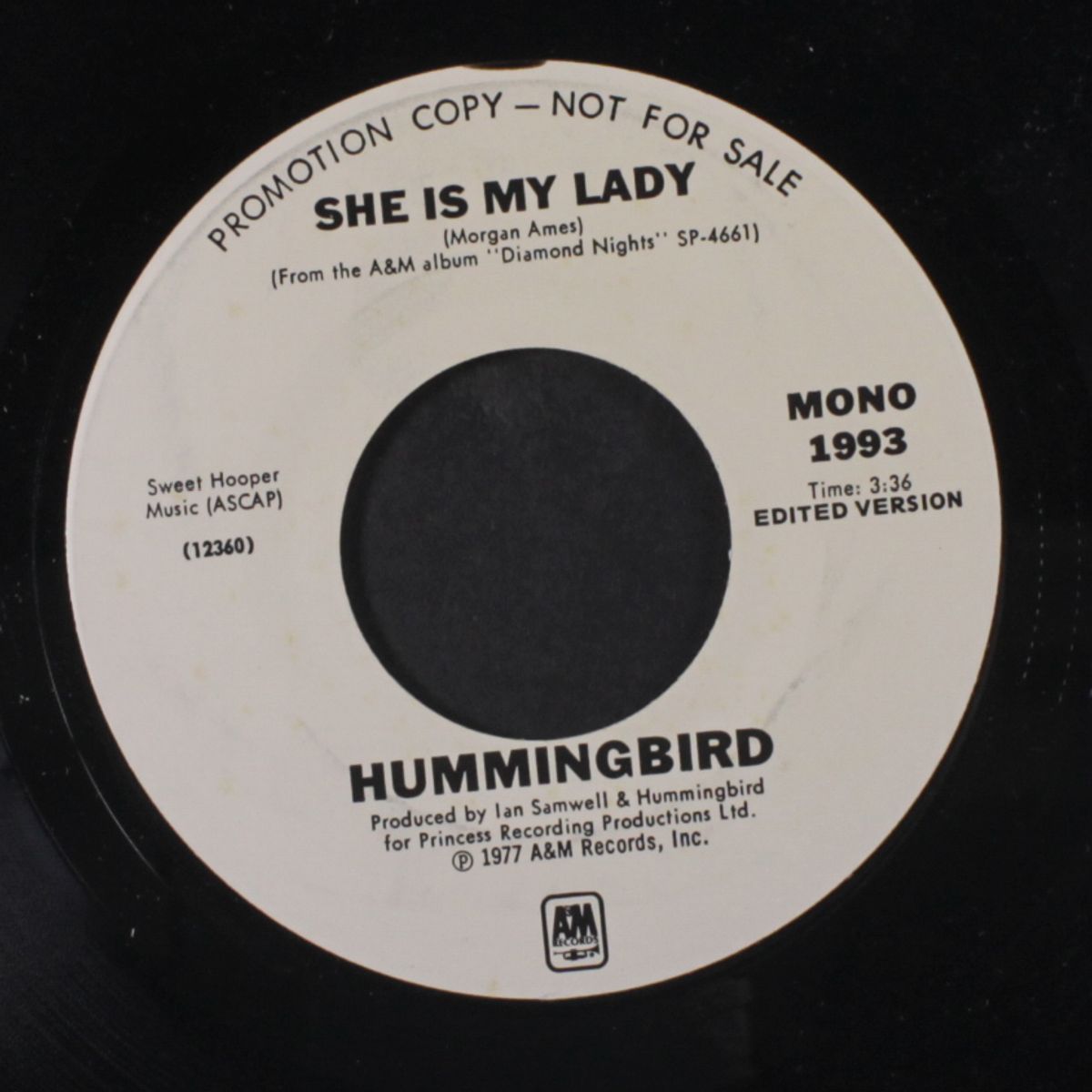 she is my lady / mono by HUMMINGBIRD