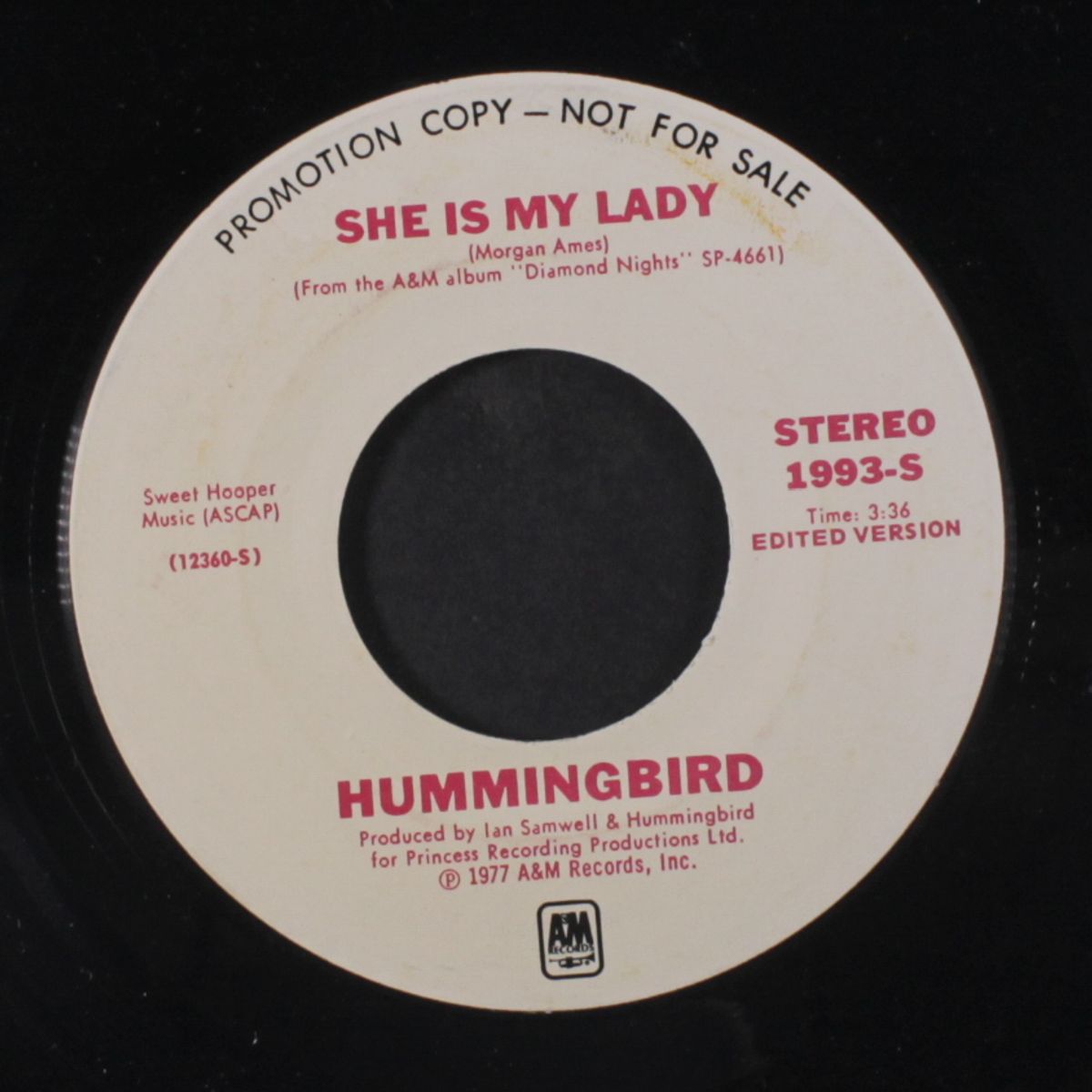 she is my lady / mono by HUMMINGBIRD