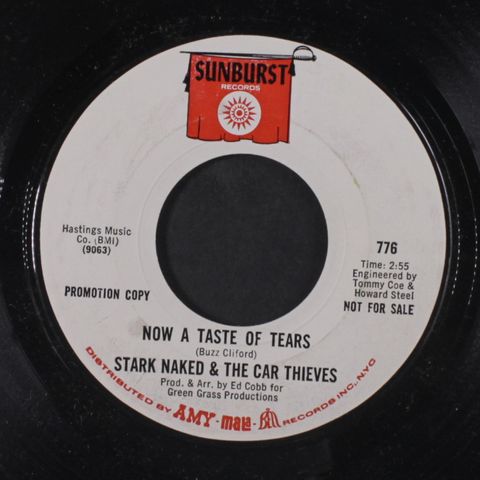 STARK NAKED & THE CAR THIEVES