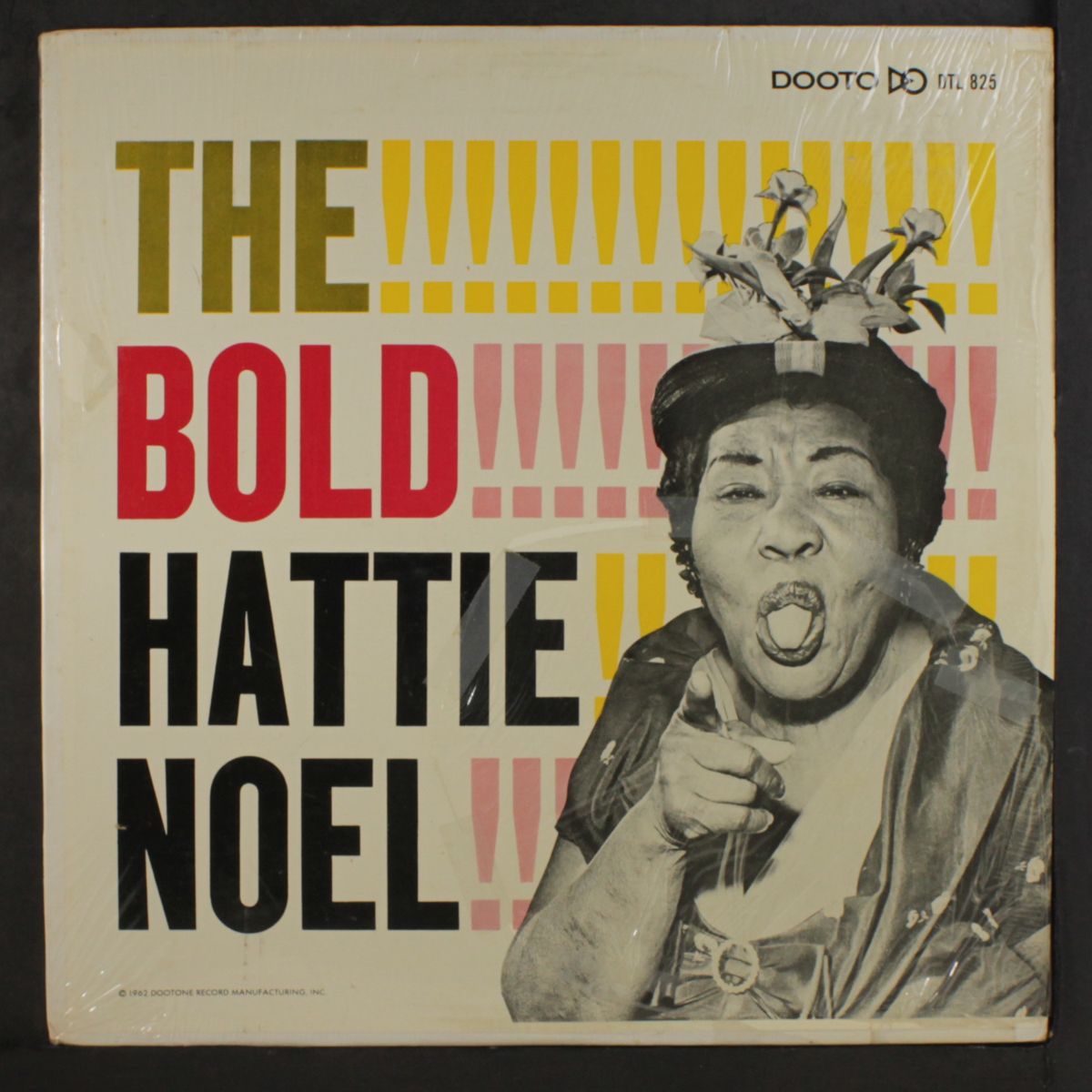 the bold! by HATTIE NOEL