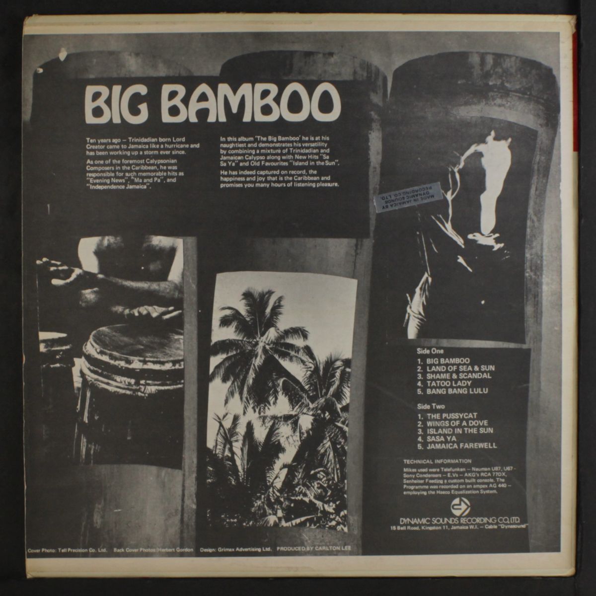 big bamboo by LORD CREATOR