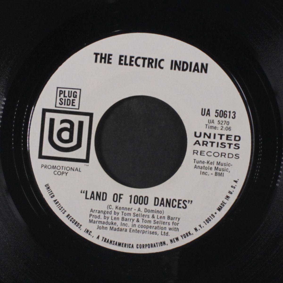 land of 1000 dances / geronimo by ELECTRIC INDIAN