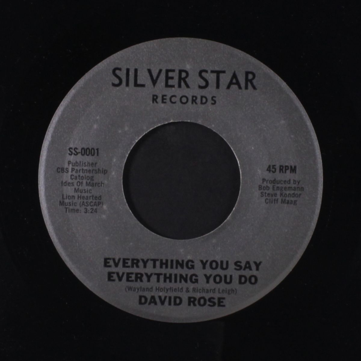 everything you say you do / same by DAVID ROSE