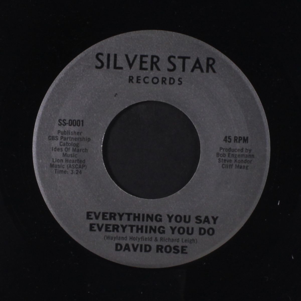 everything you say you do / same by DAVID ROSE