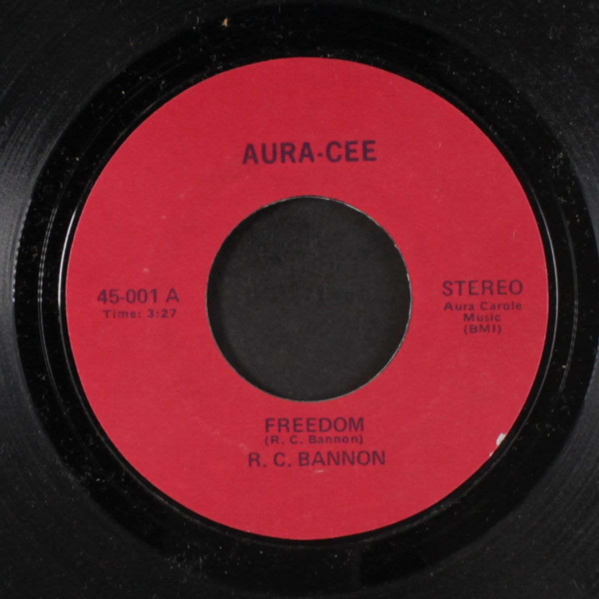 freedom by R.C. BANNON
