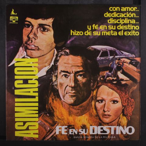 GRUPO ASIMILACION