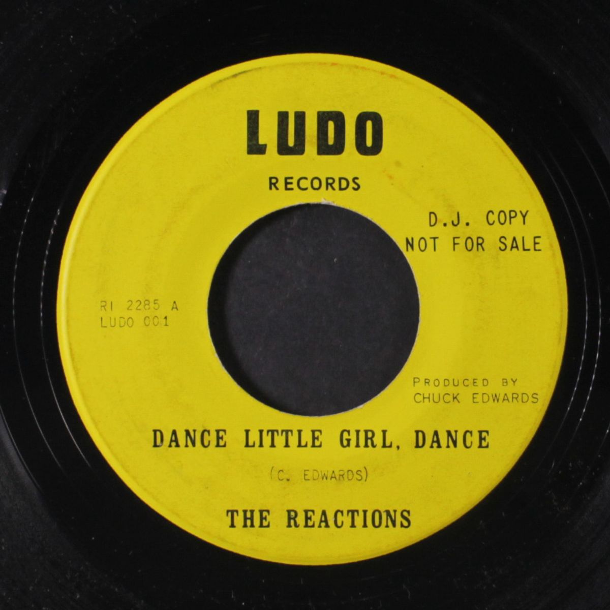 dance girl dance / daddy's home by REACTIONS