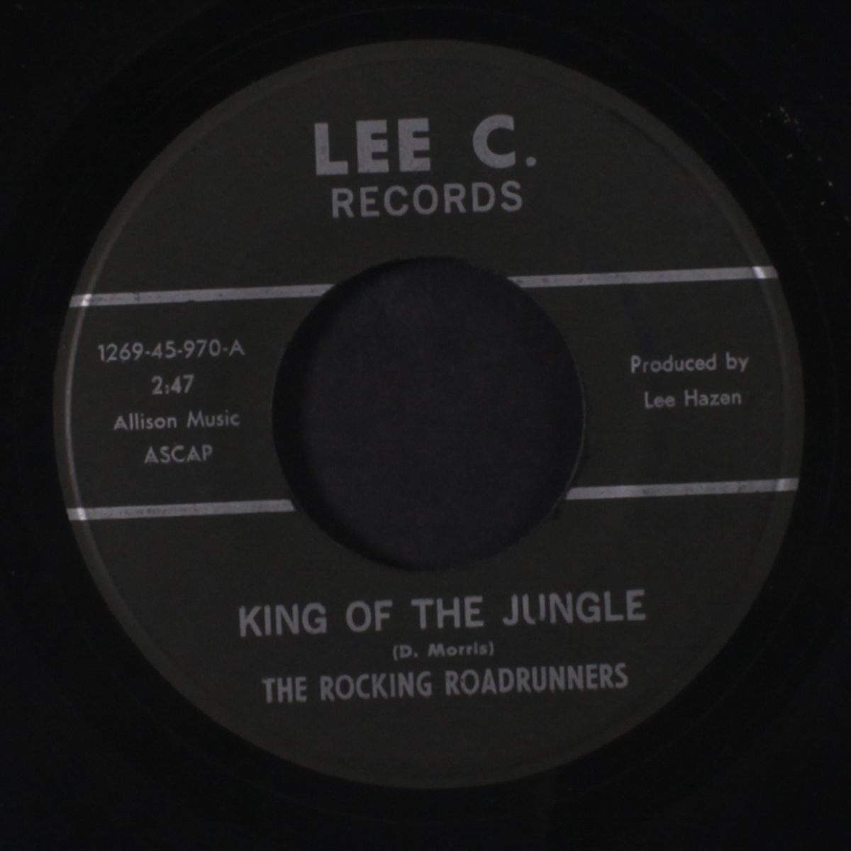 king of the jungle by ROCKING ROADRUNNERS