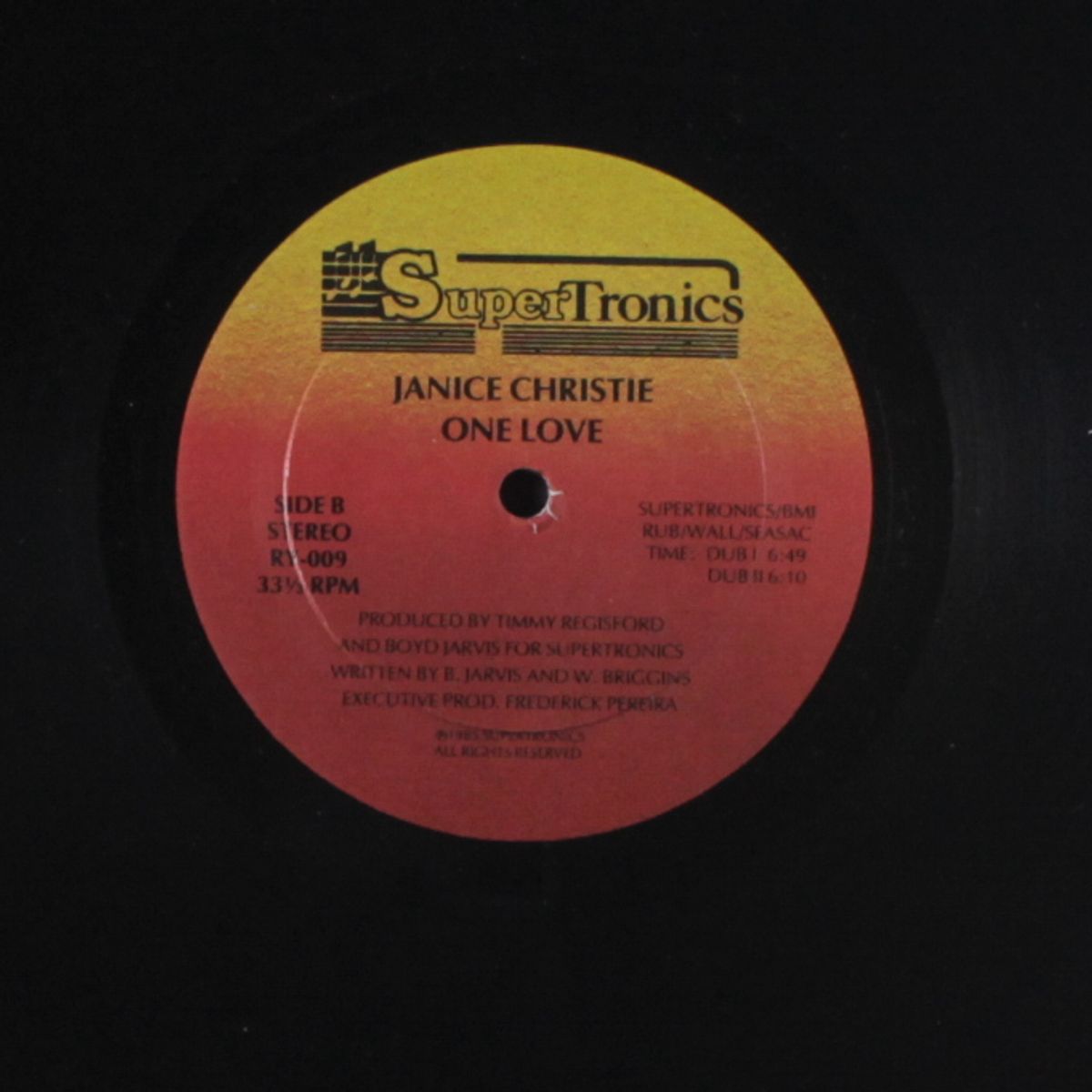 one love / dub by JANICE CHRISTIE
