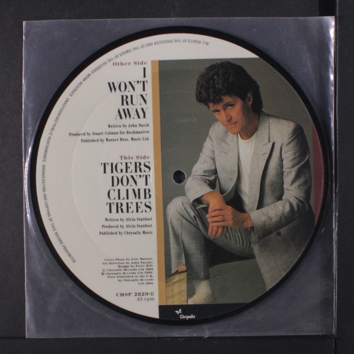 i won't run away / tigers don't climb trees by ALVIN STARDUST
