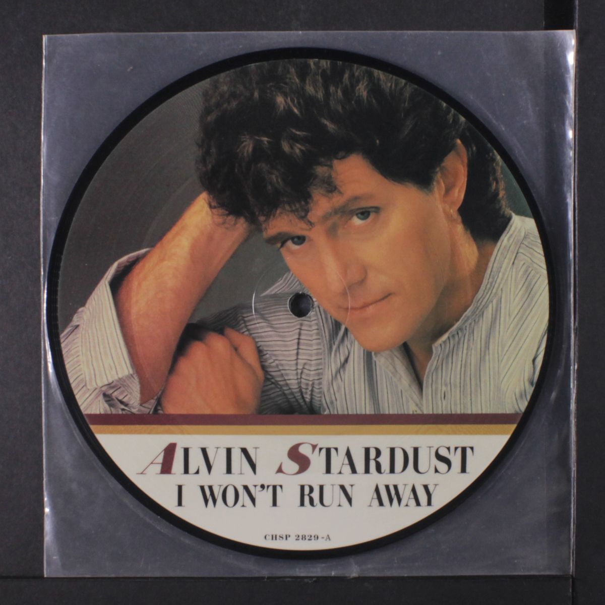 i won't run away / tigers don't climb trees by ALVIN STARDUST