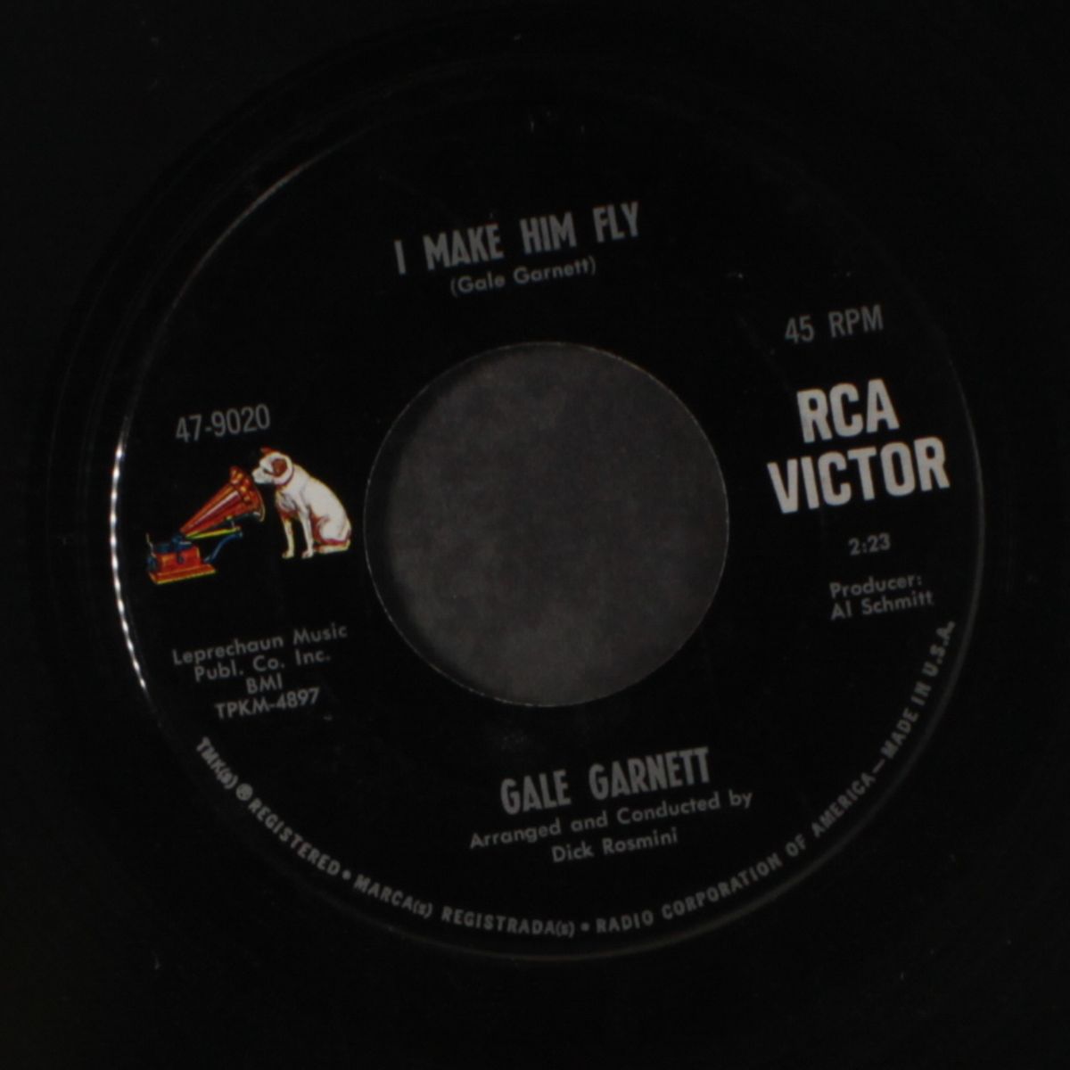 the sun is gray / i make him fly by GALE GARNETT