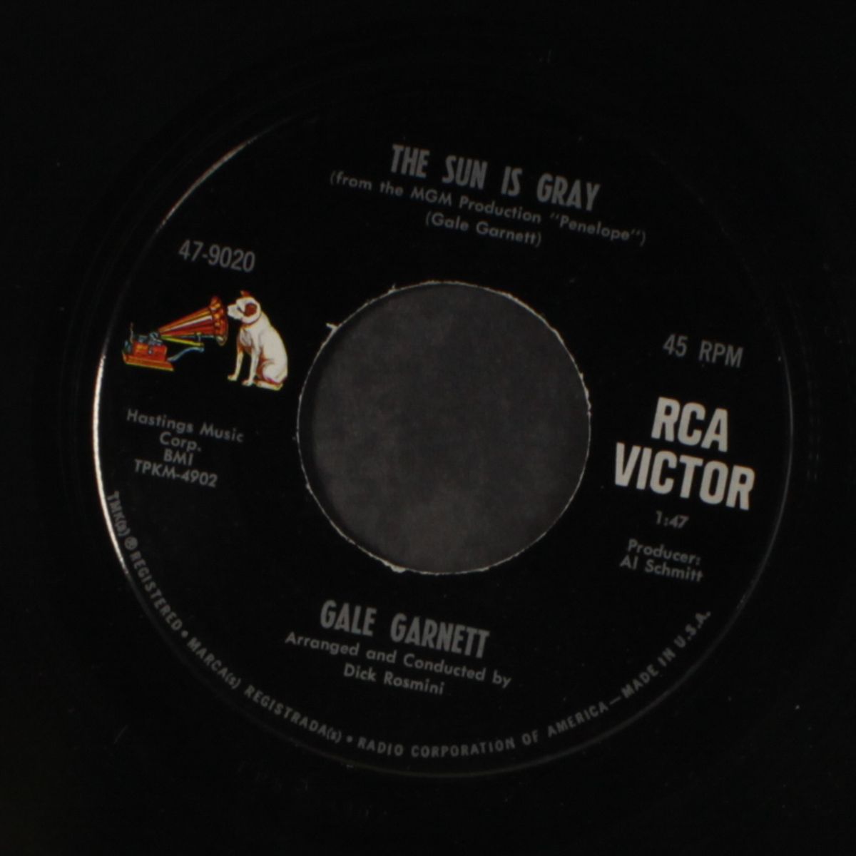 the sun is gray / i make him fly by GALE GARNETT