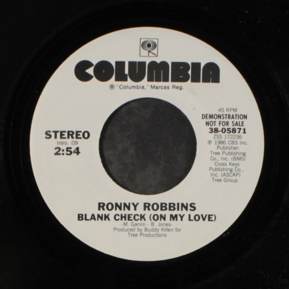blank check / same by RONNY ROBBINS