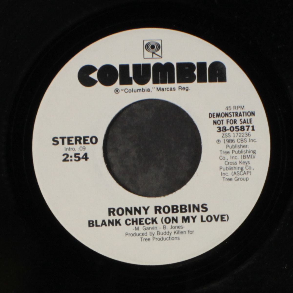 blank check / same by RONNY ROBBINS