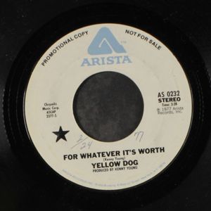 YELLOW DOG