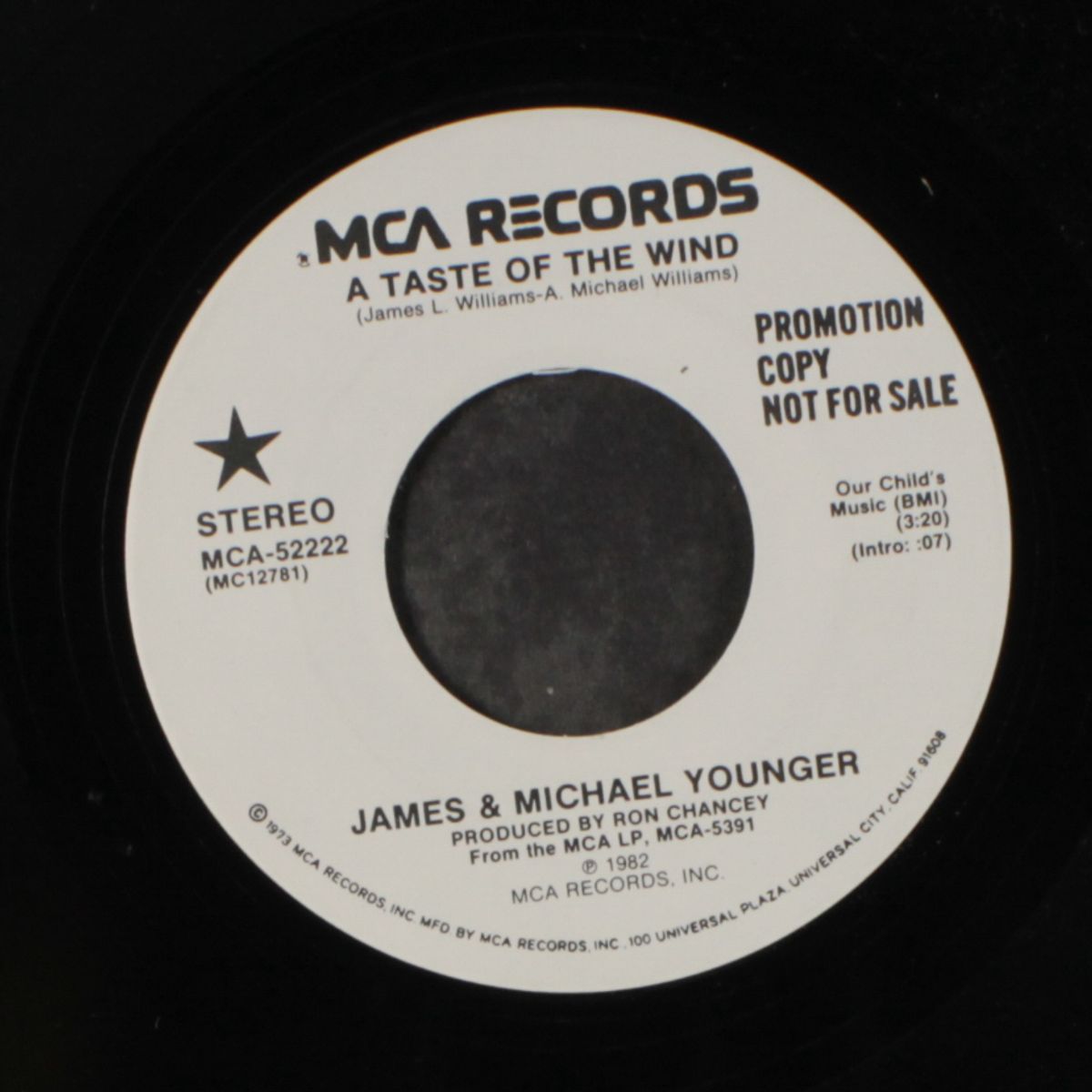 a taste of the wind by JAMES & MICHAEL YOUNGER