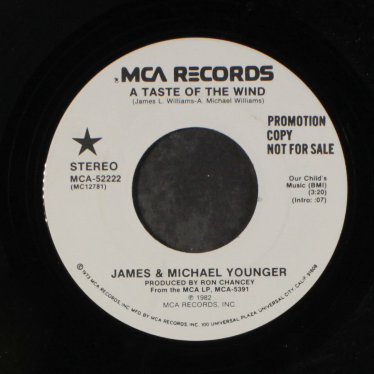 a taste of the wind by JAMES & MICHAEL YOUNGER