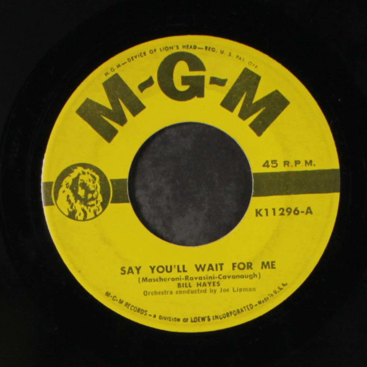 say you'll wait for me / my search for you is ended by BILL HAYES