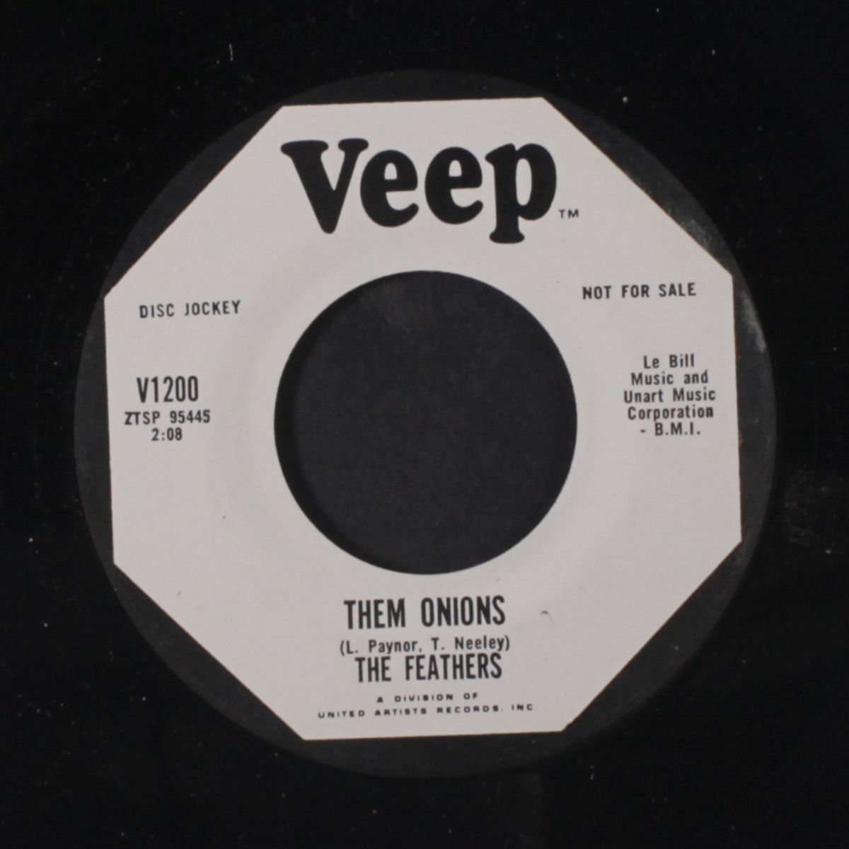 them onions / the dummy by FEATHERS