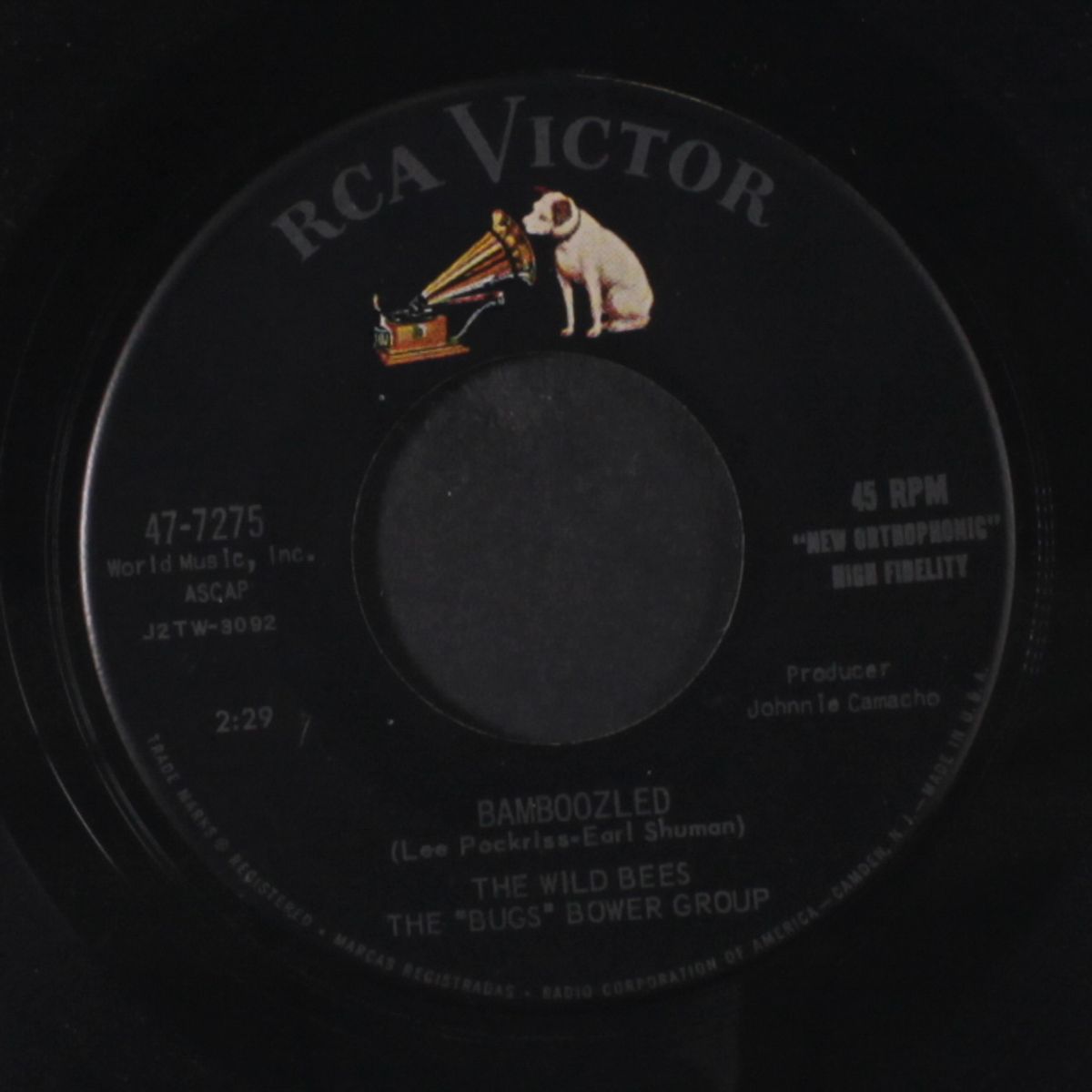 doctor rock / bamboozled by WILD BEES