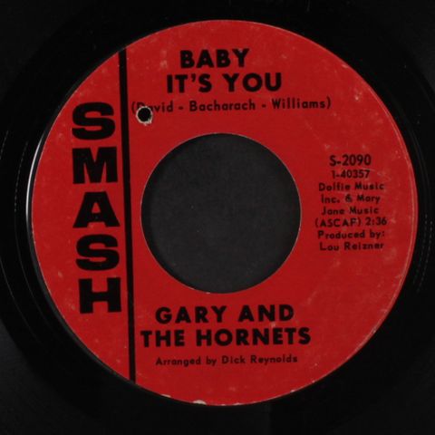 GARY & HORNETS