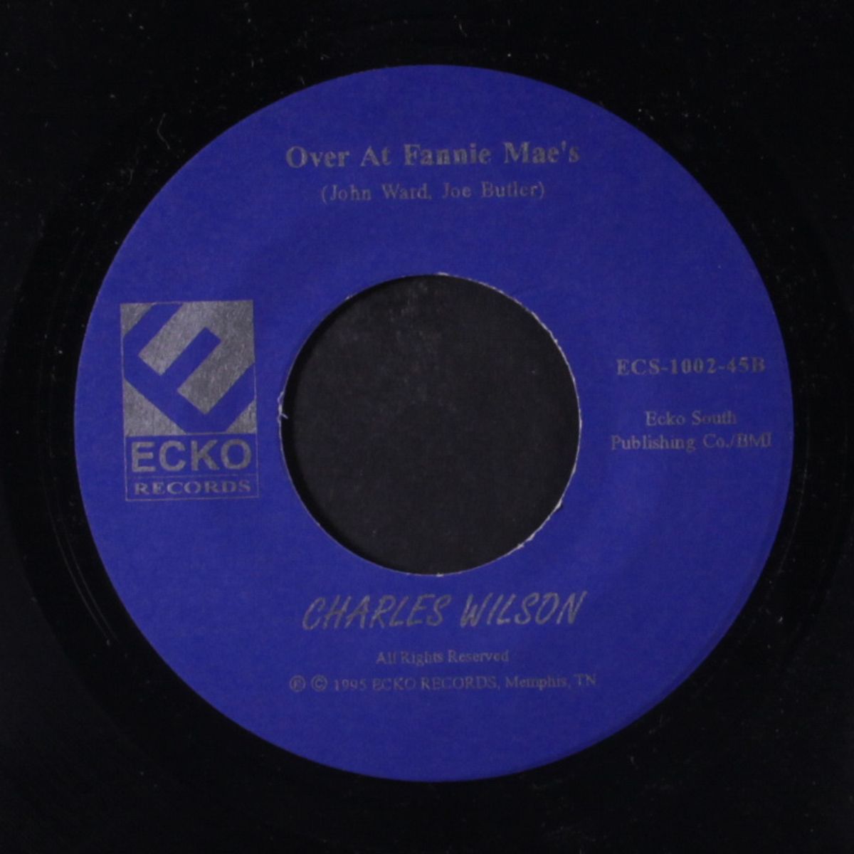 in the room next to the room / over at fanny mae's by CHARLES WILSON
