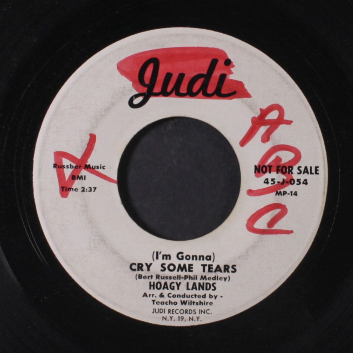 cry some tears / lighted windows by HOAGY LANDS