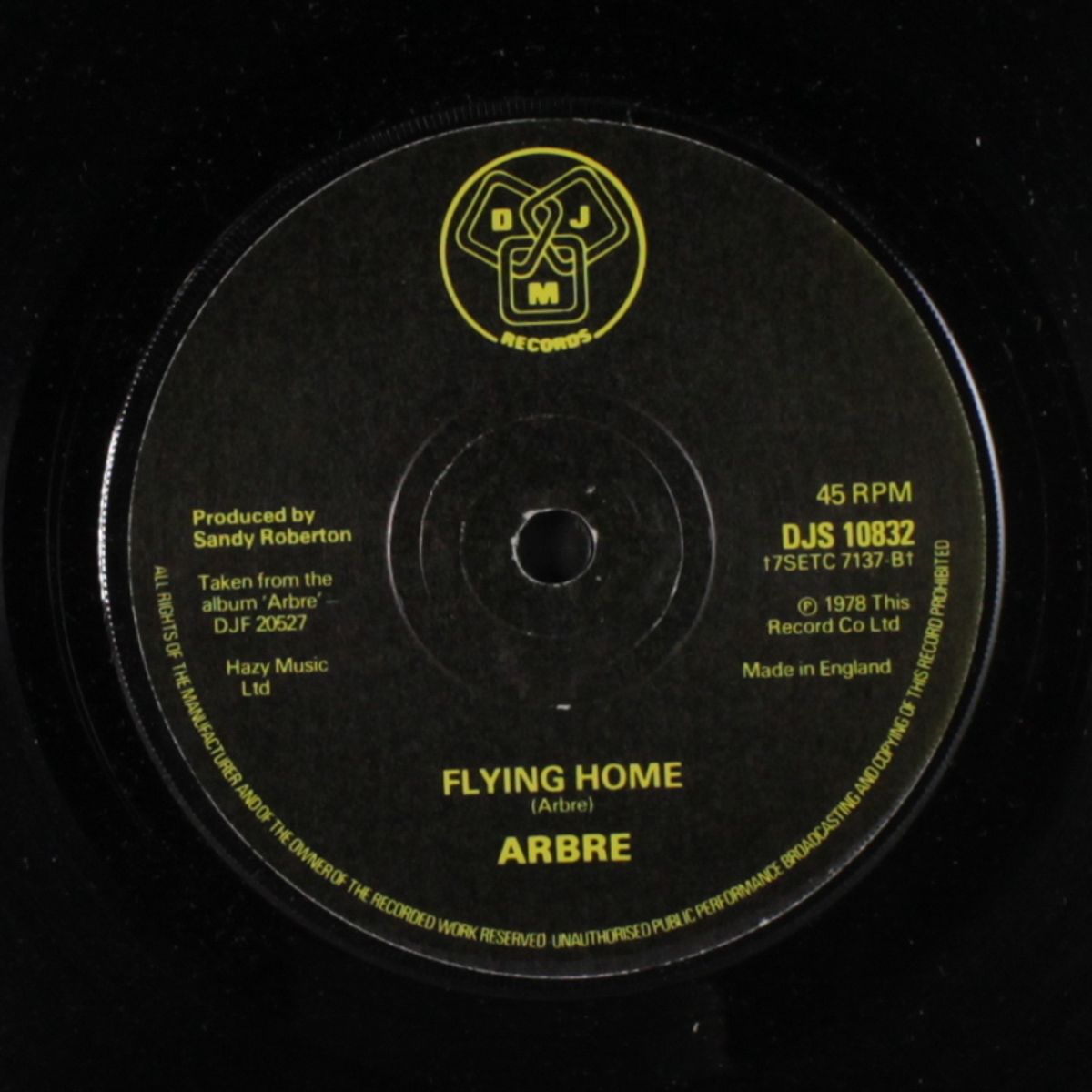 let me be your lover / flying home by ARBRE
