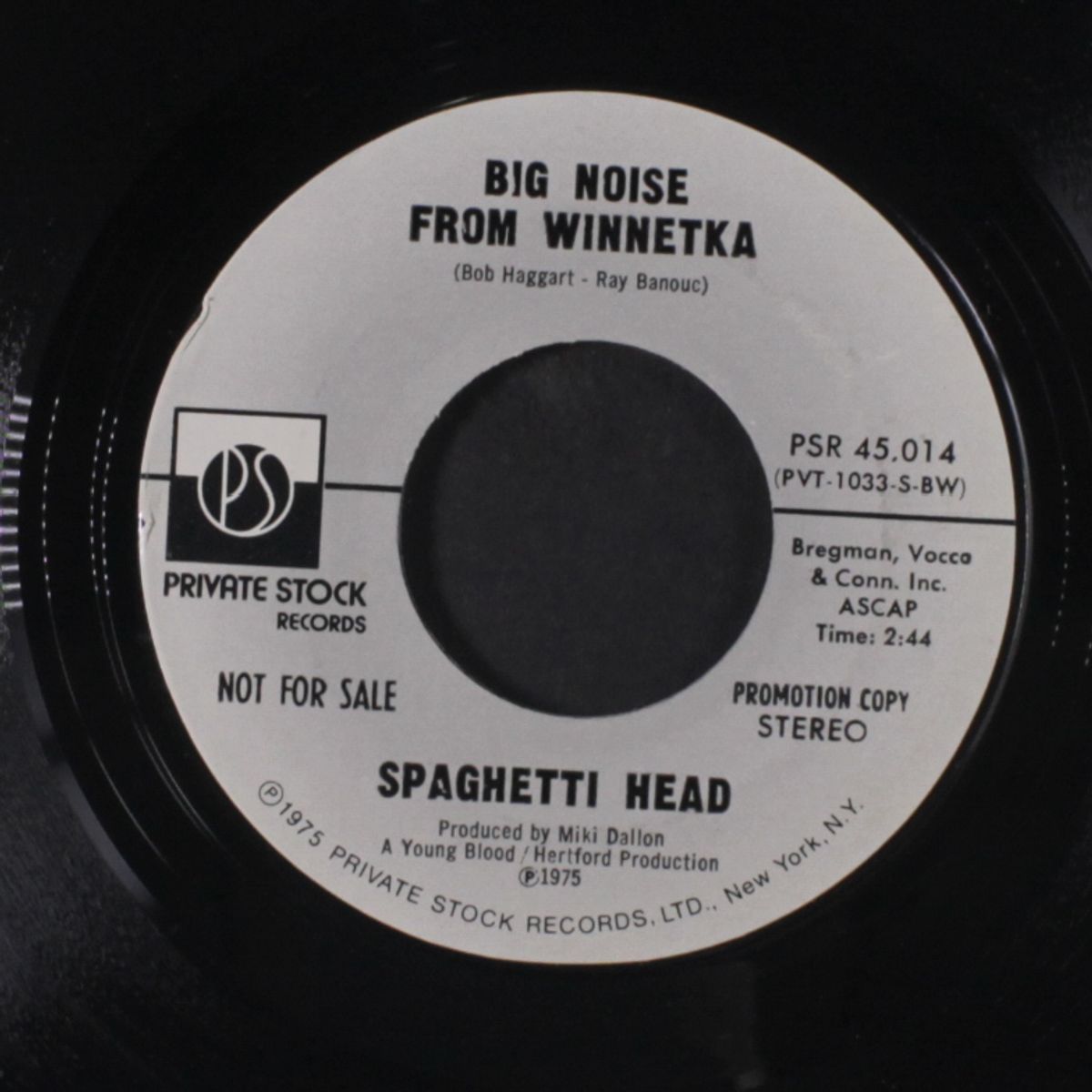big noise from winnetka / mono by SPAGHETTI HEAD