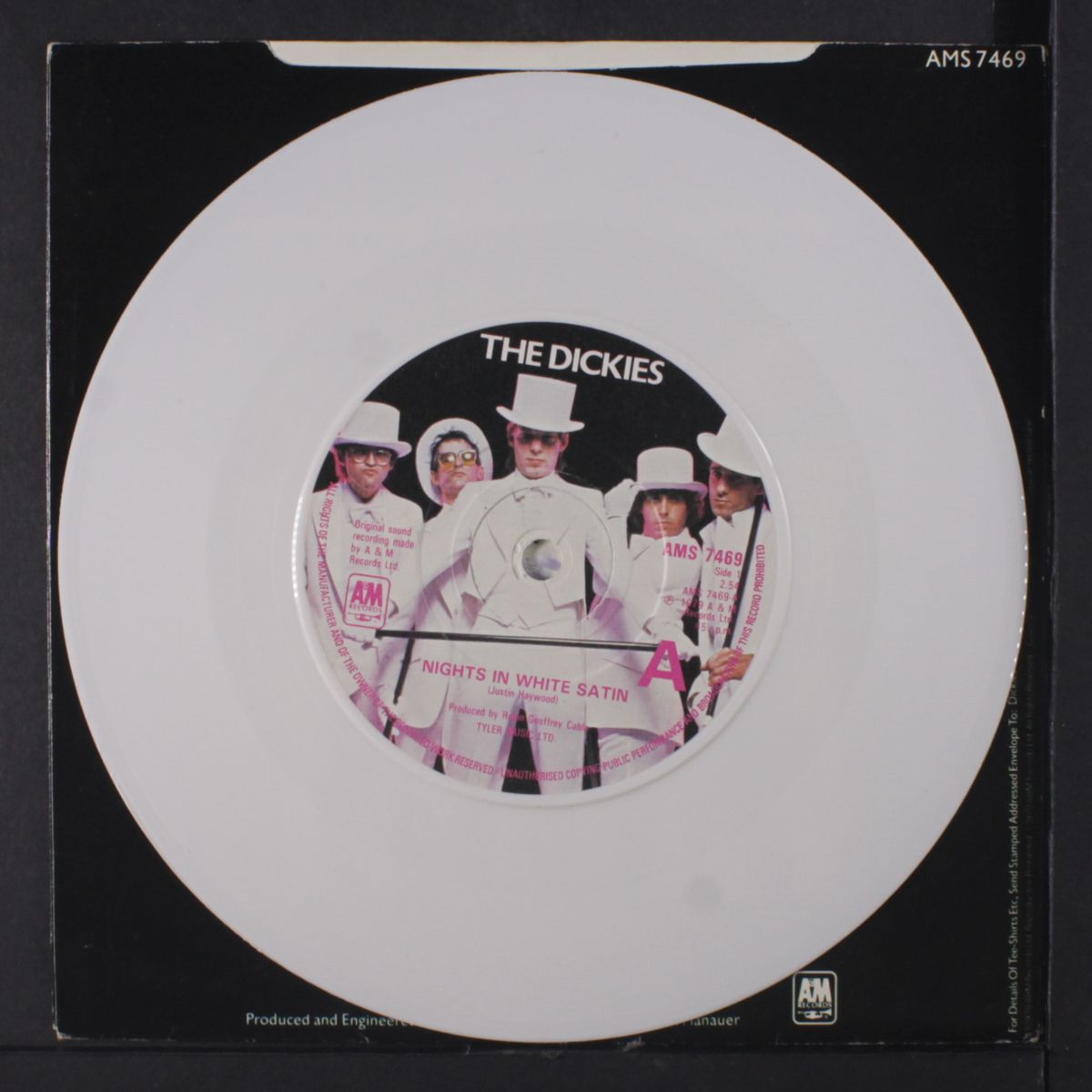nights in white satin by DICKIES
