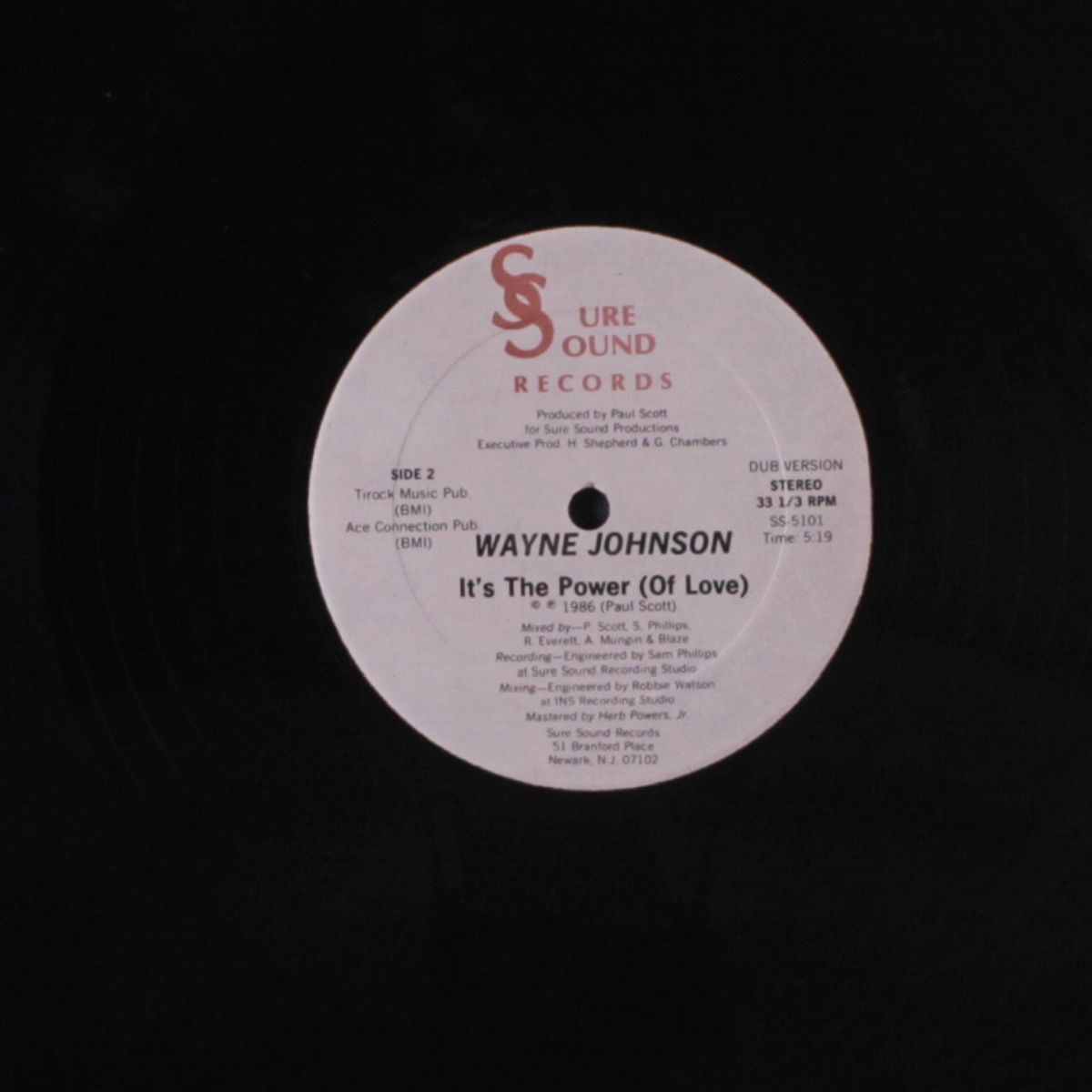 the power of love / dub by WAYNE JOHNSON