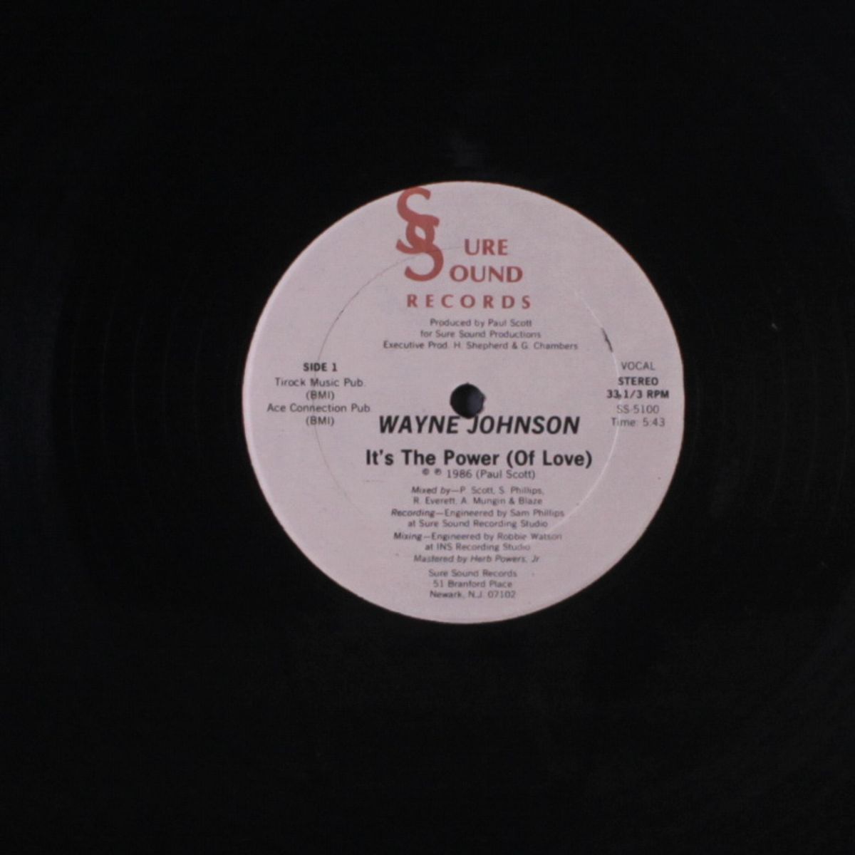 the power of love / dub by WAYNE JOHNSON