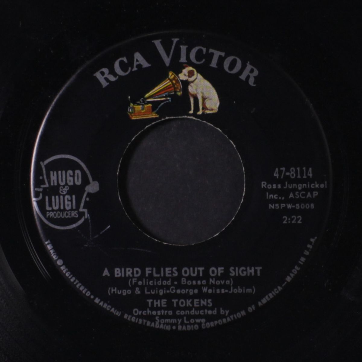 wishing / a bird flies out of sight by TOKENS