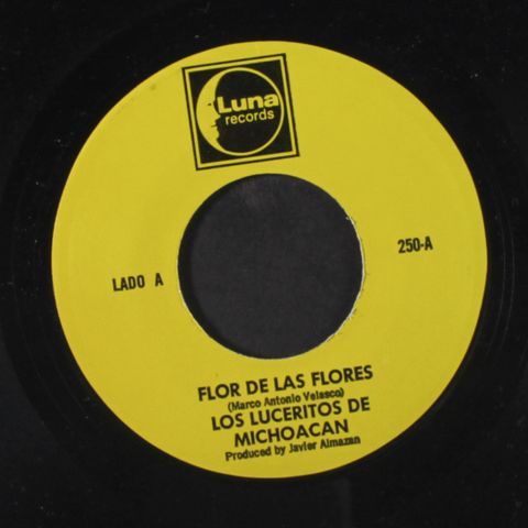 LOS LUCERITOS DE MICHOACAN