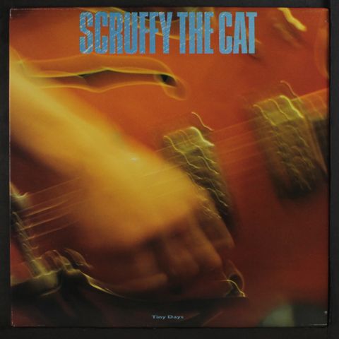SCRUFFY THE CAT