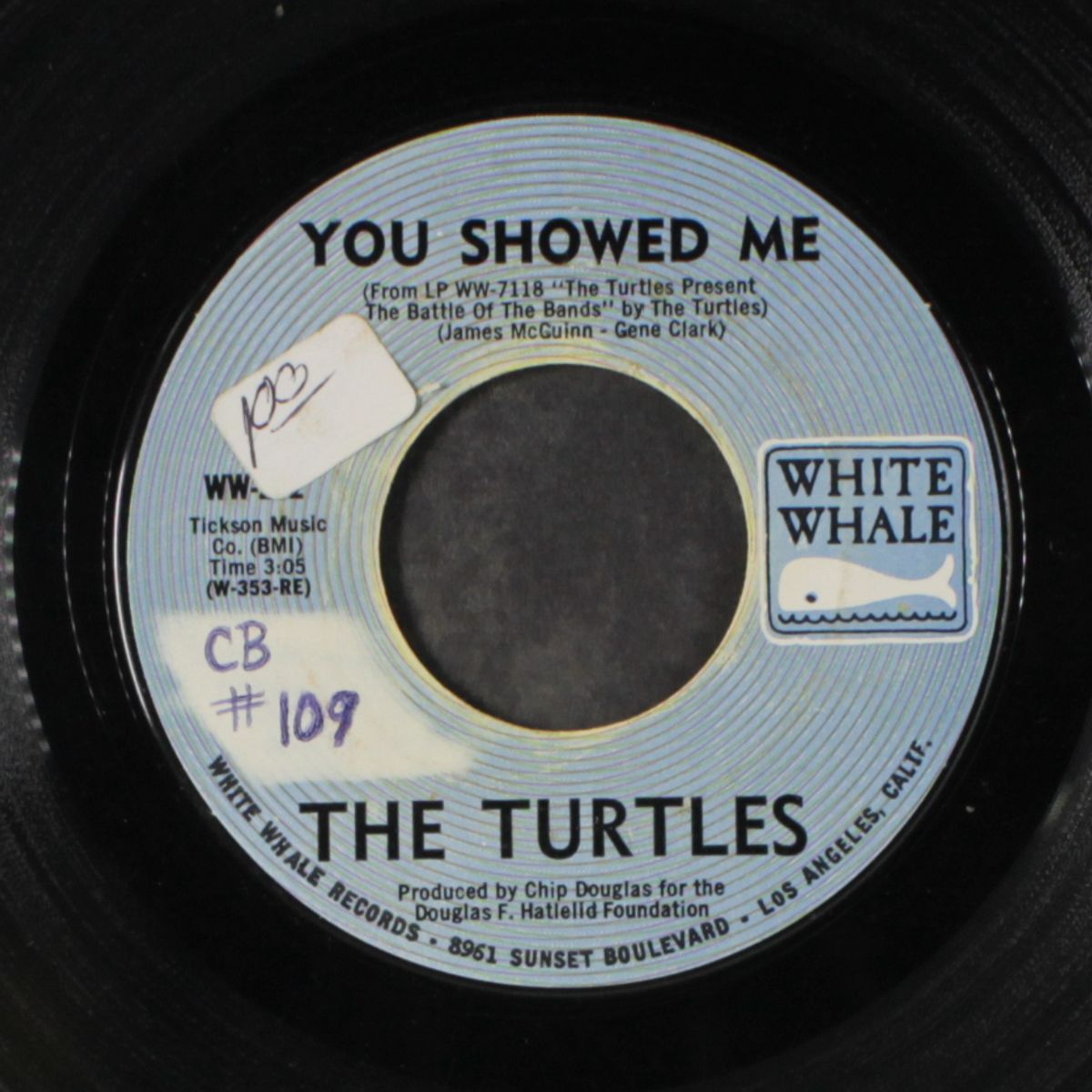 you showed me / buzz saw by TURTLES
