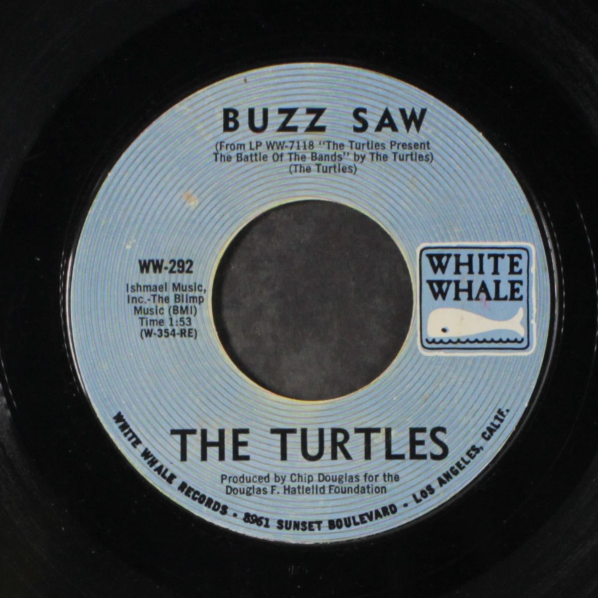 you showed me / buzz saw by TURTLES