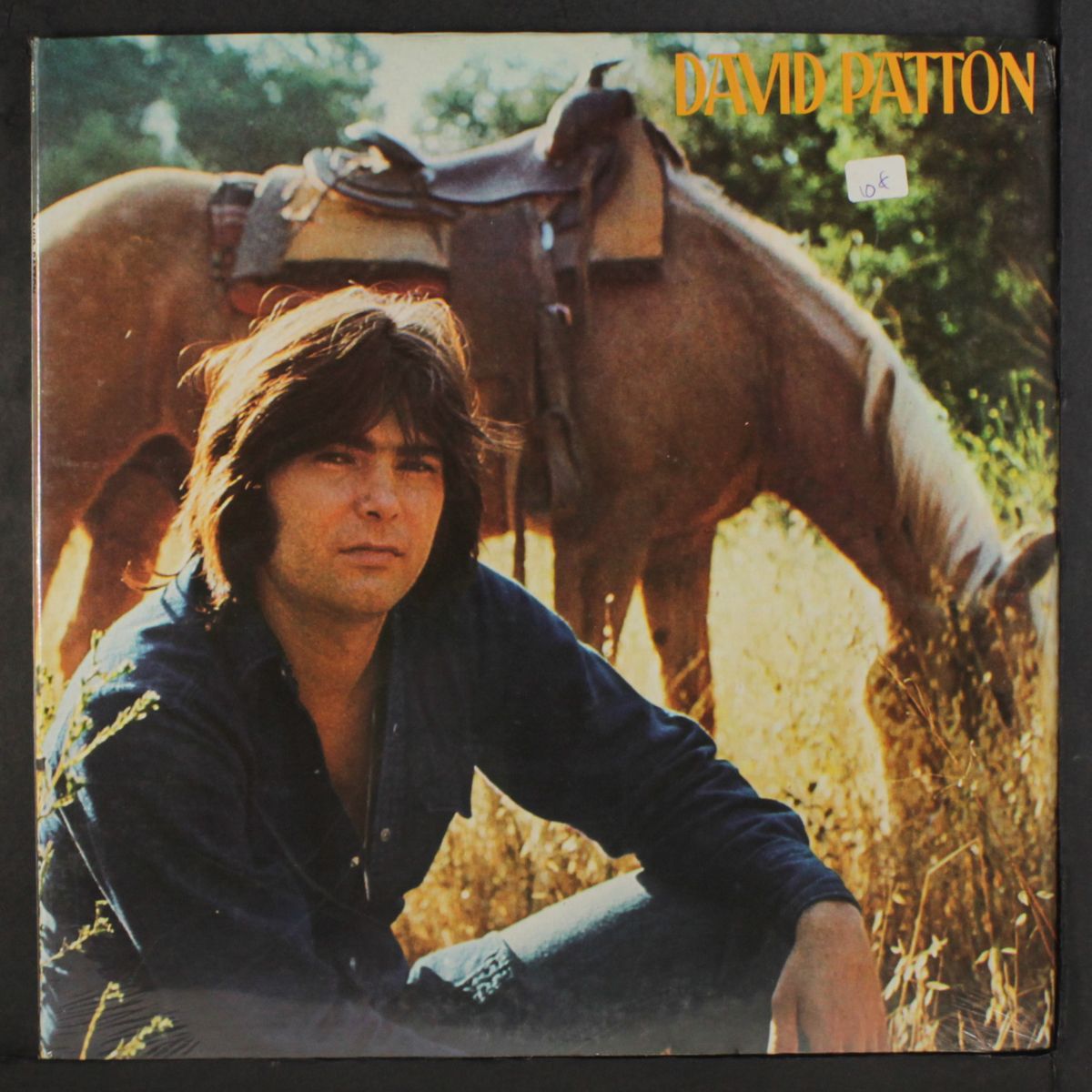 david patton by DAVID PATTON