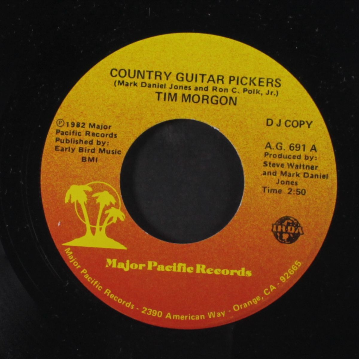 there was a time / country guitar pickers by TIM MORGON