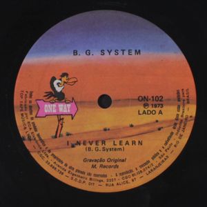 B.G. SYSTEM