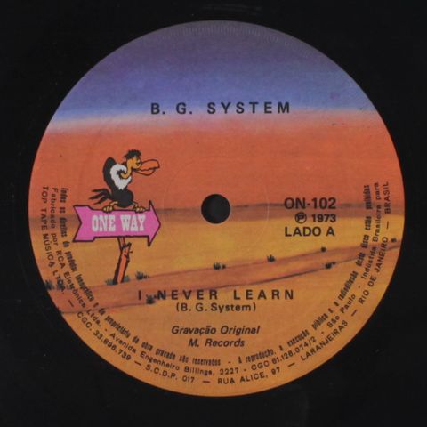 B.G. SYSTEM