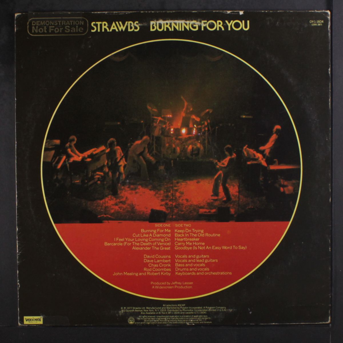 burning for you by STRAWBS